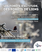 Les forêts d’altitude, des forêts de liens